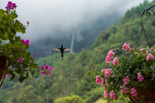 Colombia-Andean-Colombian Andes Adventure